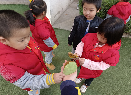 http://www.diaqiao.top/upload/20221026/30117ea3-48e9-42cc-aa2f-d0bb3636c153.jpg