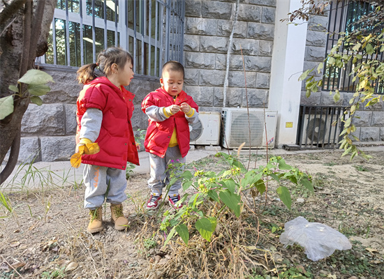 http://www.diaqiao.top/upload/20221026/abf40593-ef65-4bf2-a7f9-686b1486f316.jpg