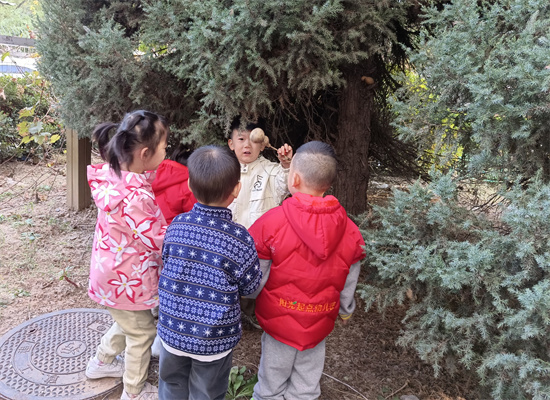 http://www.diaqiao.top/upload/20221026/d7a03d91-ef19-4e71-a687-afd721a2ffe9.jpg