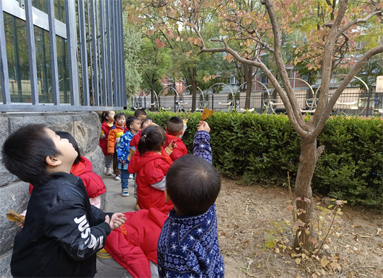 http://www.diaqiao.top/upload/20221026/f9ccf40b-4915-4655-85c9-538389232b94.jpg