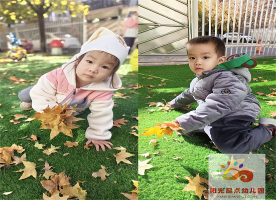 http://www.diaqiao.top/upload/20221110/c22076ba-8956-4248-9431-d65faffb70f9.jpg