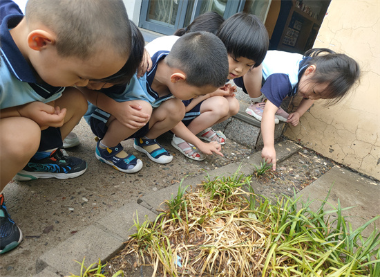 http://www.diaqiao.top/upload/20230627/c9a486c6-b048-46d7-acdf-830ab1dcd9b3.jpg