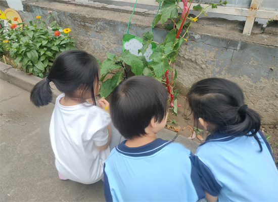 http://www.diaqiao.top/upload/20230627/e0ade07c-ad2f-4e82-9529-616994099463.jpg