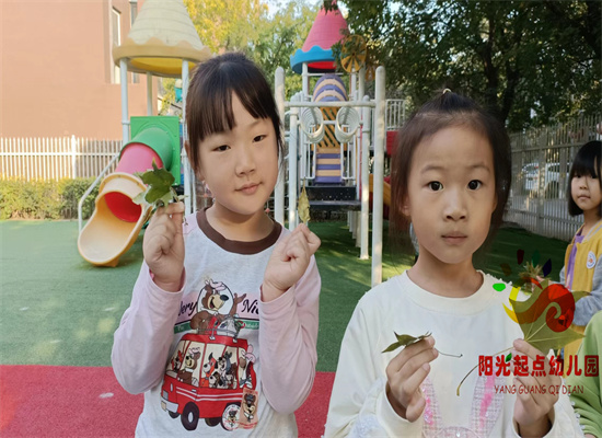 http://www.diaqiao.top/upload/20231020/dba0e600-ff84-43aa-961b-dd359c090214.jpg