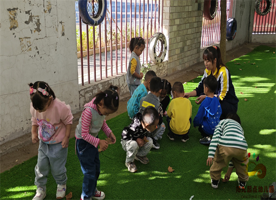 http://www.diaqiao.top/upload/20231103/b9830781-c3a0-42a7-8612-3ab4082b1808.jpg