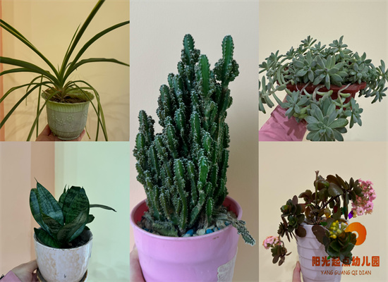 http://www.diaqiao.top/upload/20240411/a3e51c9a-694b-4e4b-a9a6-056a1fdcde4f.jpg