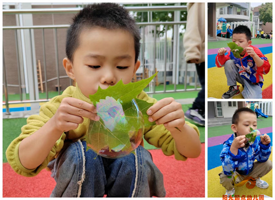 http://www.diaqiao.top/upload/20241024/26142069-a6ea-4b88-8d96-15b8129ff988.jpg