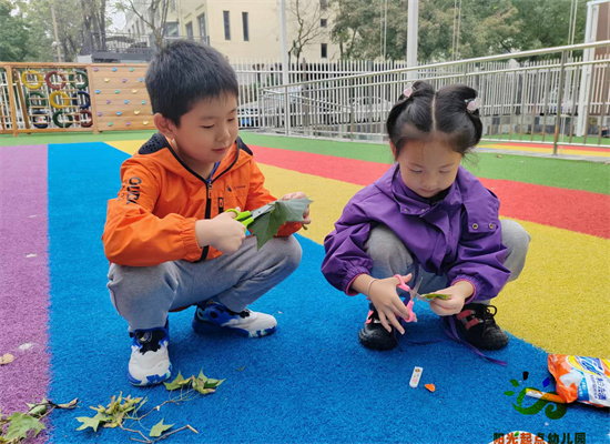 http://www.diaqiao.top/upload/20241024/ce479013-62d2-4c97-b9b3-6eea3f43d1b2.jpg