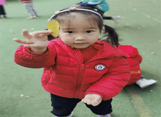 http://www.diaqiao.top/upload/20241028/adb23083-bffa-4f95-a993-578bf8489ab4.jpg
